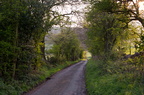 2012-05-n5-7746-a