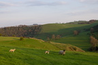 2012-05-n5-7749-a