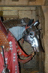 2012-12-n1-0456