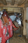 2012-12-n1-0457