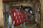 2012-12-n1-0458