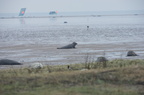 2012-12-n5-3962-a