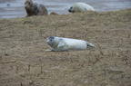 2012-12-n5-3966-a