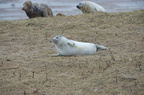 2012-12-n5-3967-a