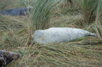 2012-12-n5-3968-a