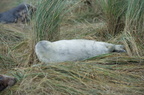 2012-12-n5-3969-a