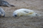 2012-12-n5-3972-a