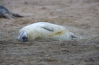 2012-12-n5-3973-a