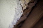 2013-10-n5-6237-a