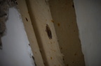 2013-10-n5-6240-a