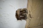 2013-10-n5-6241-a