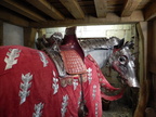 2014-02-n8-0783