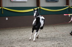 2014-03-n5-0016