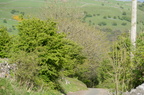 2015-05-n5-0195