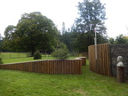 2015-09-n8-8033.jpg