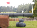2015-09-n8-8042.jpg