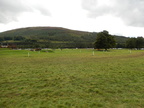 2015-09-n8-8131.jpg