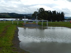 2015-09-n8-8134.jpg