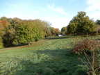 2015-10-n8-8524.jpg