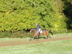 2015-10-n8-8533.jpg