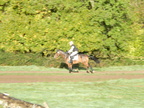 2015-10-n8-8542.jpg