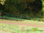 2015-10-n8-8543.jpg