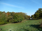 2015-10-n8-8546.jpg