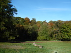 2015-10-n8-8547.jpg