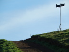2015-10-n8-8551.jpg