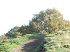 2015-10-n8-8552.jpg
