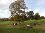 2015-10-n8-8557.jpg