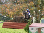 2015-10-n8-8558.jpg