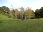 2015-10-n8-8560.jpg