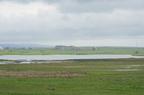 2016-06-n5-3504