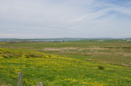 2016-06-n5-4225