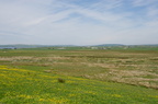 2016-06-n5-4226