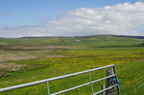 2016-06-n5-4233