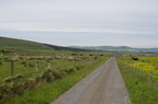 2016-06-n5-4237