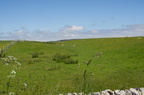2016-06-n5-4241