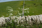 2016-06-n5-4245