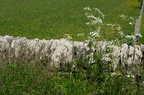2016-06-n5-4247