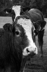 2018-08-n5-5524-c
