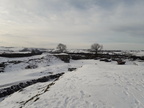 2019-02-03 02-39-45