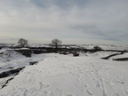 2019-02-03 02-40-00