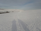2019-02-03 02-41-05