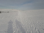 2019-02-03 02-41-20