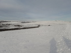 2019-02-03 02-41-36