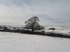 2019-02-03 02-41-49