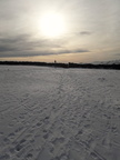 2019-02-03 02-42-19