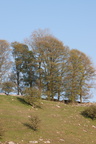 2019-04-n10-6930